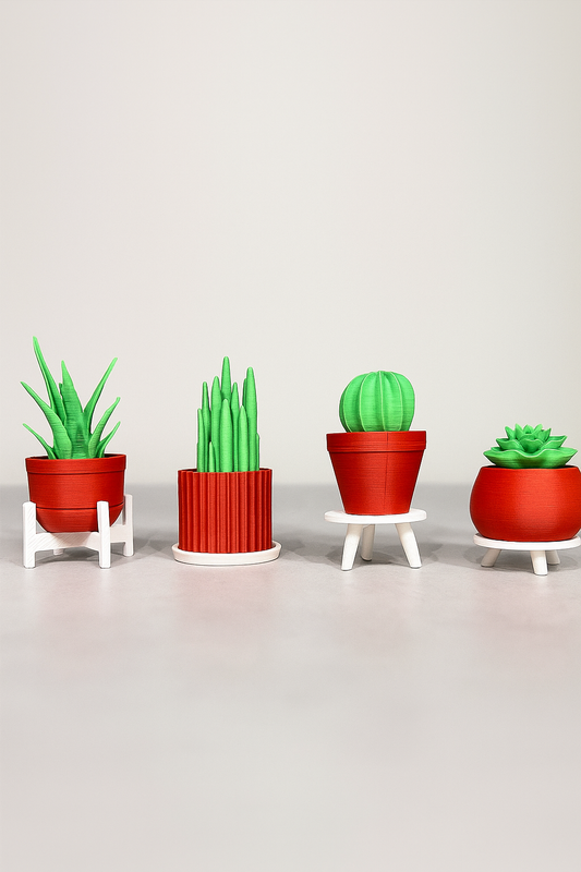 Set 4 Mini Piantine da Libreria